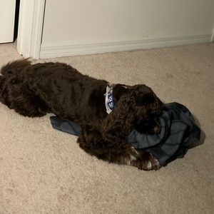 Meet your Posher, Maria